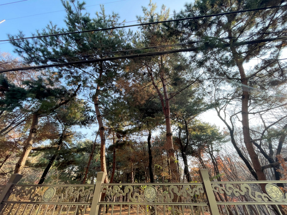 삼성동 57평 사무실 | 월세 600만원 사진 2